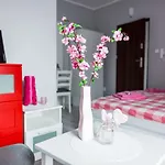 Grey House بيت شباب فروتسواف