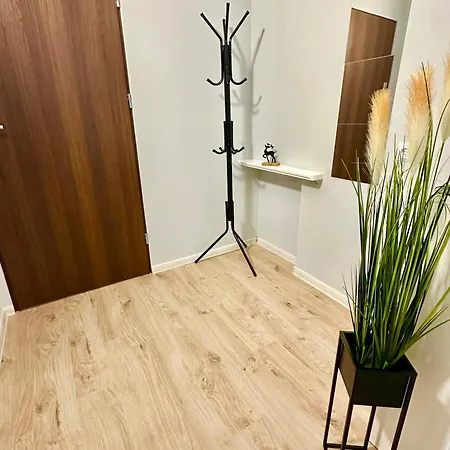 Grey House بيت شباب *