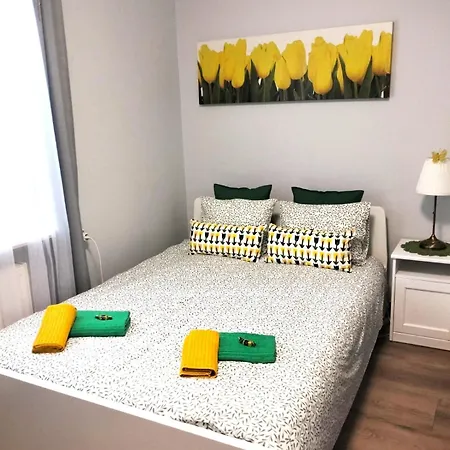 Grey House Hostal *