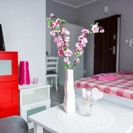 Grey House بيت شباب فروتسواف