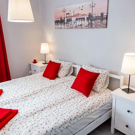 Grey House بيت شباب