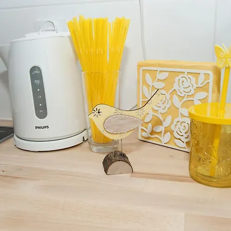 بيت شباب Grey House فروتسواف