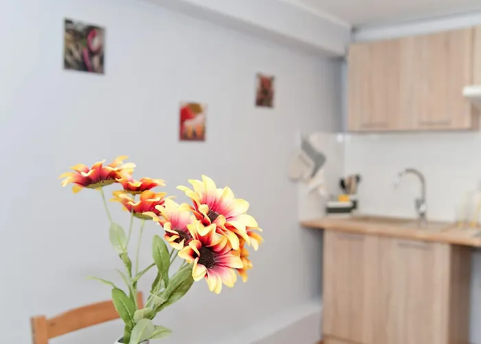 Grey House * 弗罗茨瓦夫