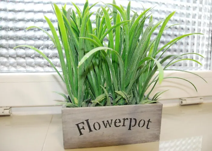 旅馆 Grey House 弗罗茨瓦夫