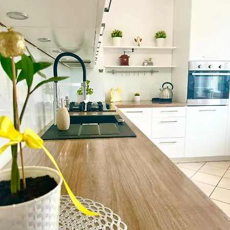 Hostel Grey House Breslau