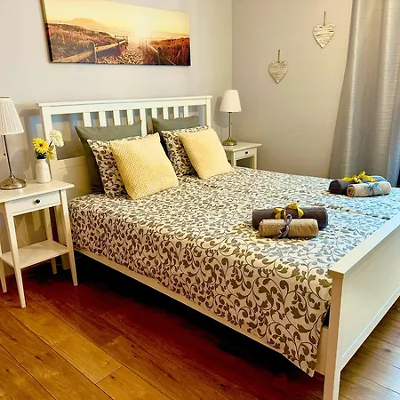 Grey House Ostello *