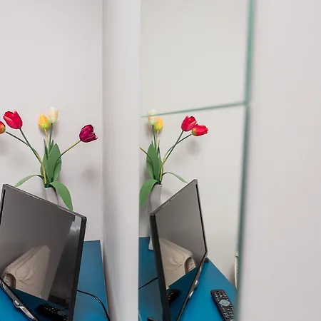 Grey House אכסניה *