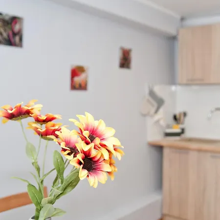 Grey House * ורוצלב