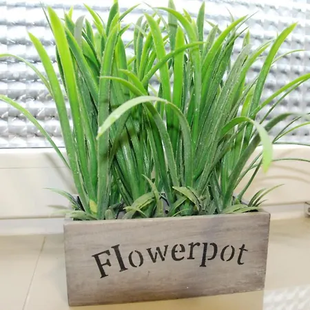 Vandrarhem Grey House Wrocław