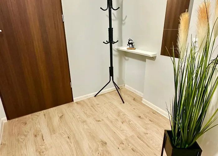 Grey House Vandrarhem *