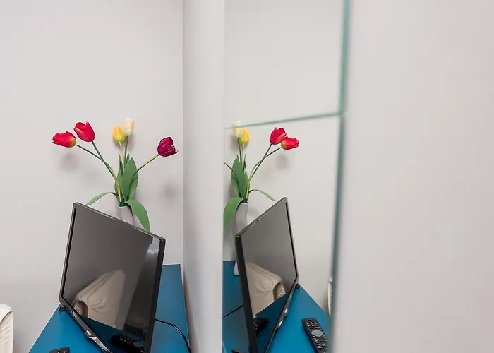 Grey House Ostello *